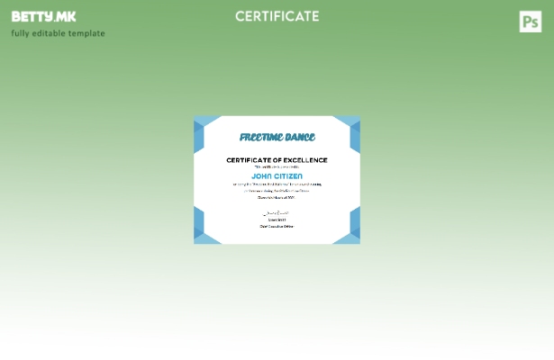 Модерен стил на САД шаблон сертификат за најдобри перформанси